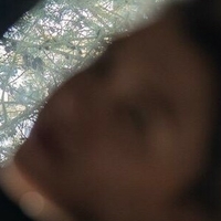 Бруно Мария Голи