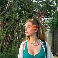 Карла Войку Голи