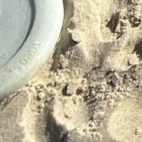 кютикейсифри Голи