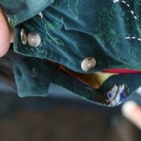 Витория Сконьамильо Голи